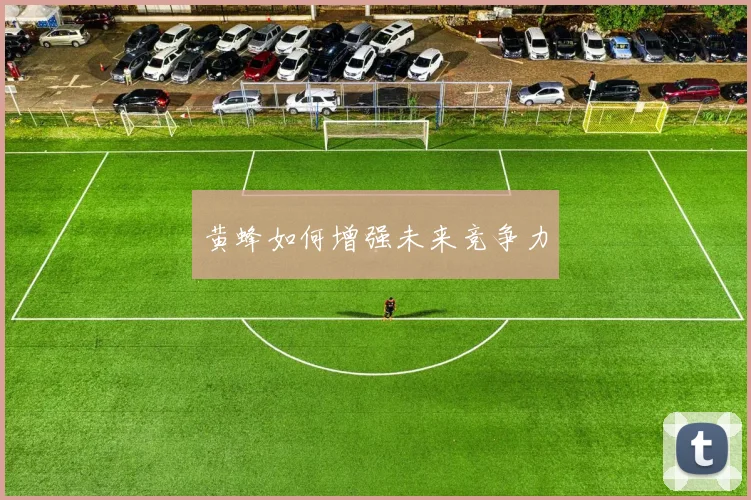 黄蜂如何增强未来竞争力