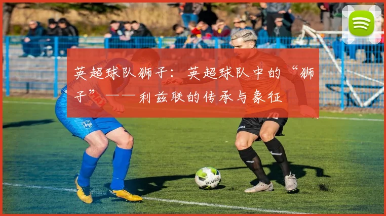 英超球队狮子：英超球队中的“狮子”——利兹联的传承与象征