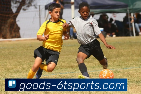 6T体育平台生态图